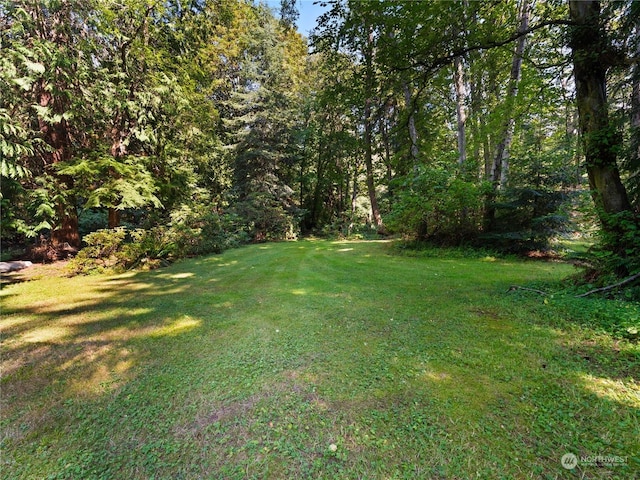 view of yard featuring a view of trees