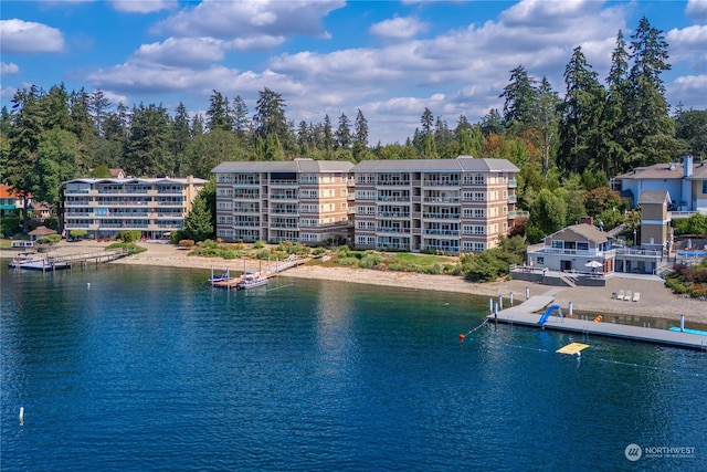 water view featuring a boat dock