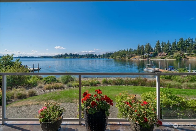 view of water feature with a boat dock