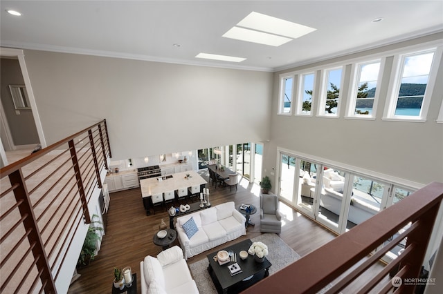 living room featuring a skylight, dark hardwood / wood-style floors, and ornamental molding