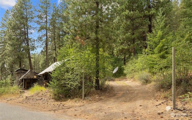 view of local wilderness