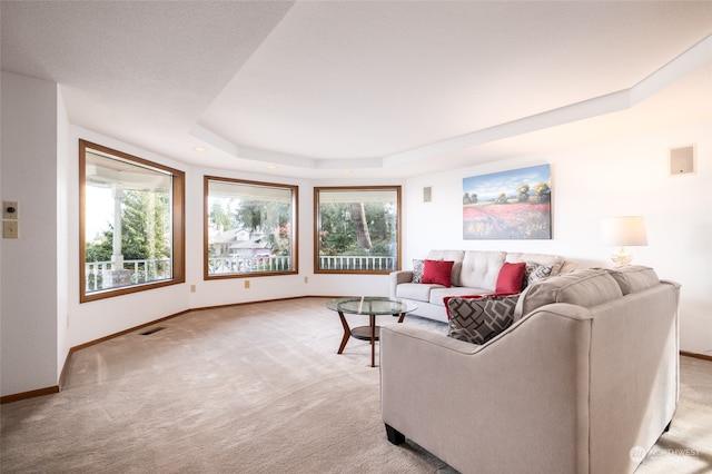 carpeted living room with a raised ceiling