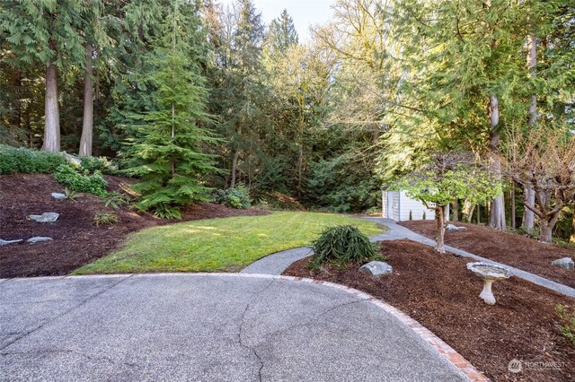 view of yard featuring a shed and an outdoor structure