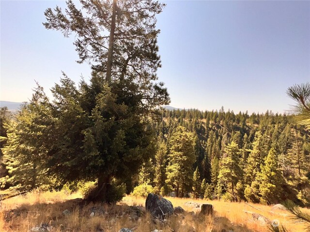 74 Fs 3230th Rd, Wauconda, WA 98855 - photo 31