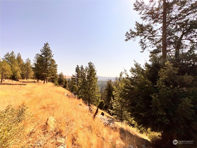 74 Fs 3230th Rd, Wauconda, WA 98855 - photo 32