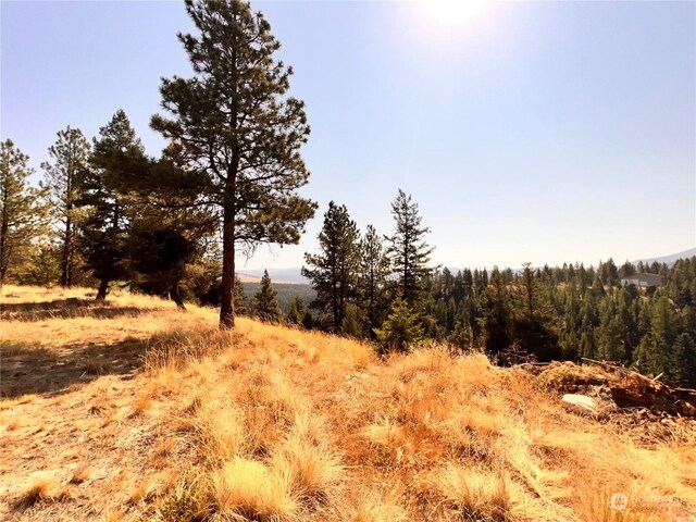 74 Fs 3230th Rd, Wauconda, WA 98855 - photo 33