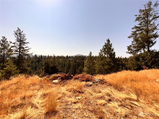 74 Fs 3230th Rd, Wauconda, WA 98855 - photo 34