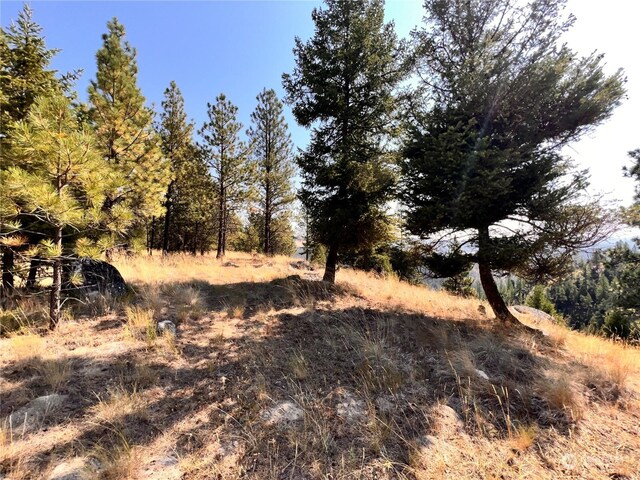 74 Fs 3230th Rd, Wauconda, WA 98855 - photo 35