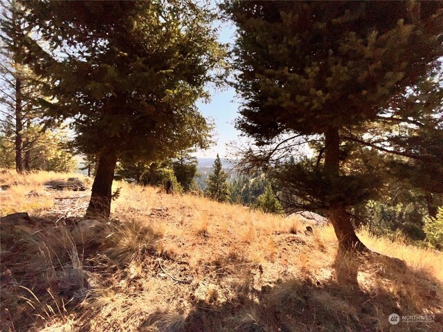 74 Fs 3230th Rd, Wauconda, WA 98855 - photo 36