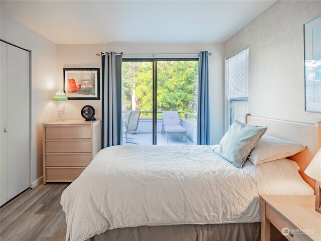 bedroom with a closet, access to exterior, and hardwood / wood-style flooring