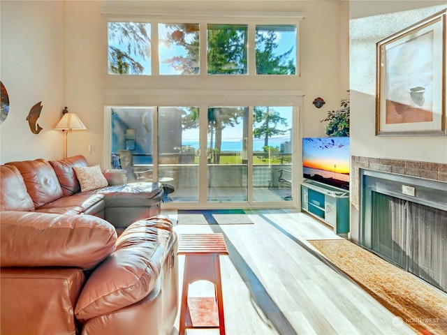 living room with hardwood / wood-style flooring and plenty of natural light