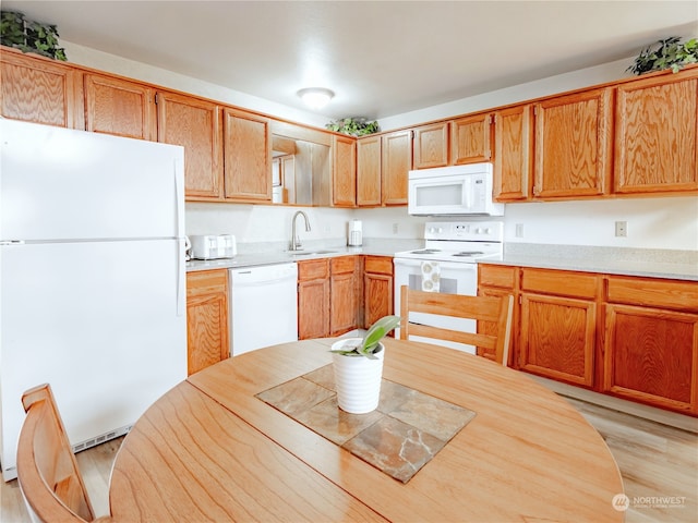 kitchen featuring sink, light wood-type flooring, and white appliances