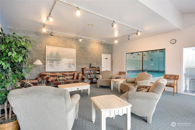 living room featuring carpet and rail lighting