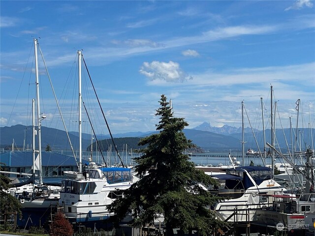 property view of water featuring a mountain view