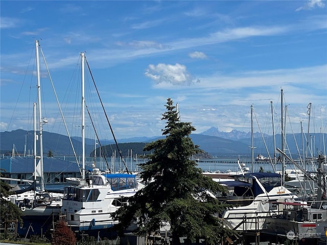 property view of mountains with a water view