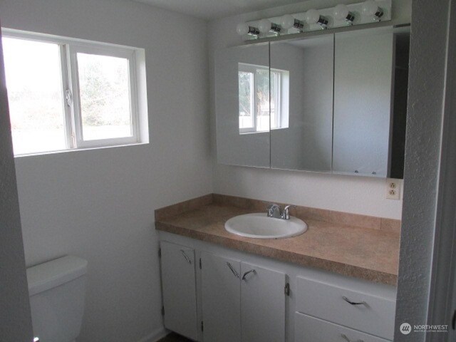 bathroom with vanity and toilet