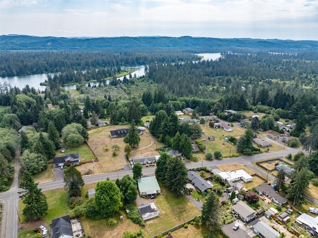 drone / aerial view featuring a wooded view and a water and mountain view