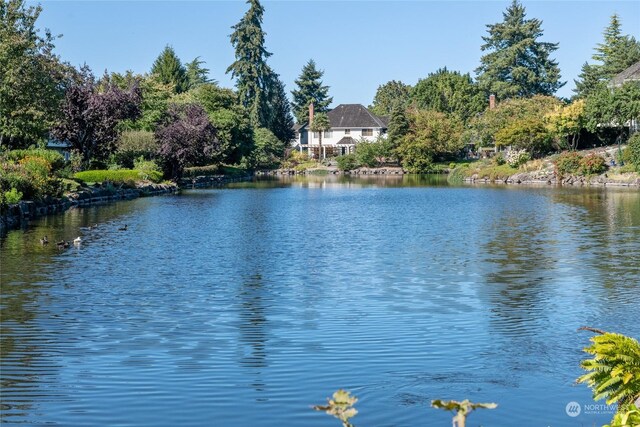 view of water feature