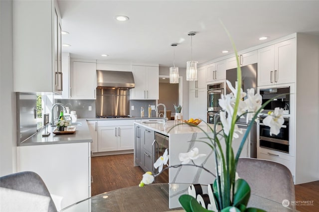 kitchen featuring appliances with stainless steel finishes, dark wood-style flooring, a sink, and wall chimney exhaust hood