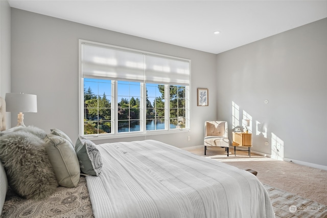 bedroom featuring carpet floors