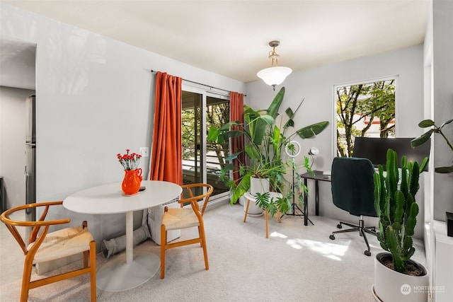 interior space featuring a wealth of natural light and carpet flooring