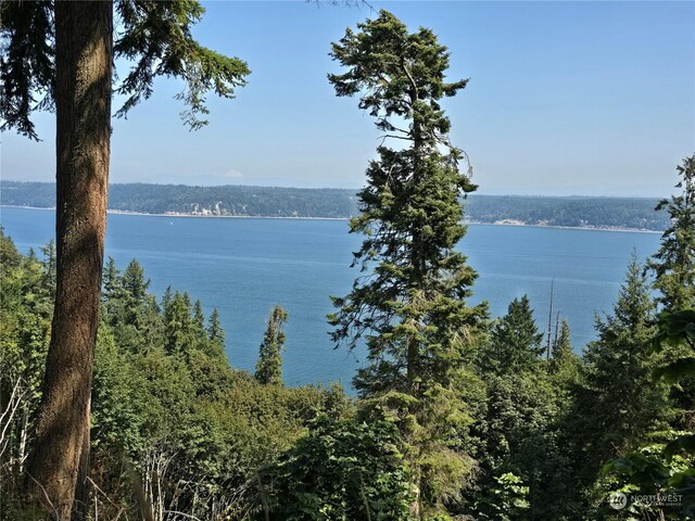 4081 Preserve Dr, Camano Island, WA 98282