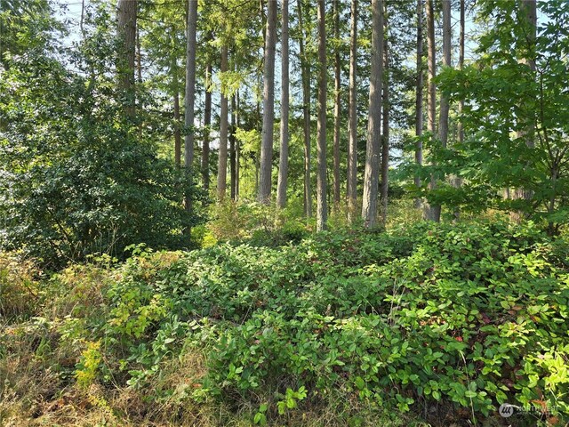 4081 Preserve Dr, Camano Island, WA 98282
