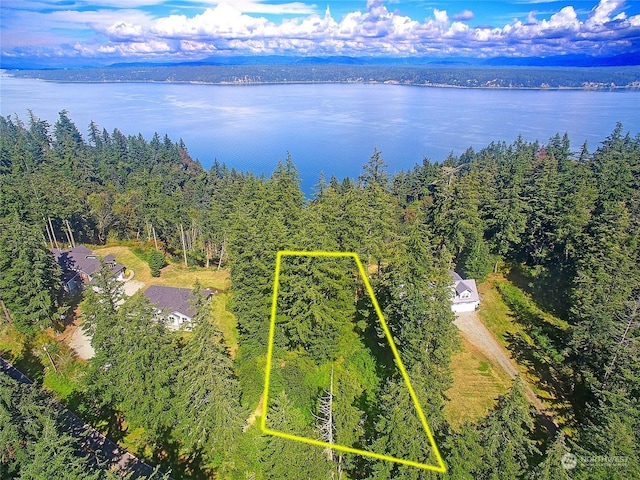 4081 Preserve Dr, Camano Island, WA 98282