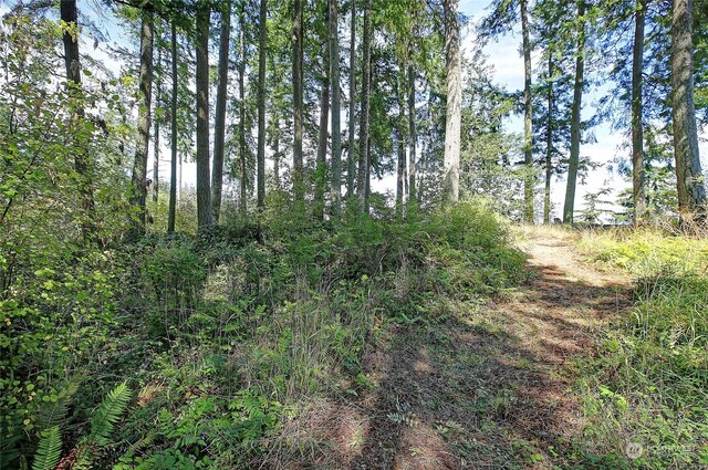 4081 Preserve Dr, Camano Island, WA 98282
