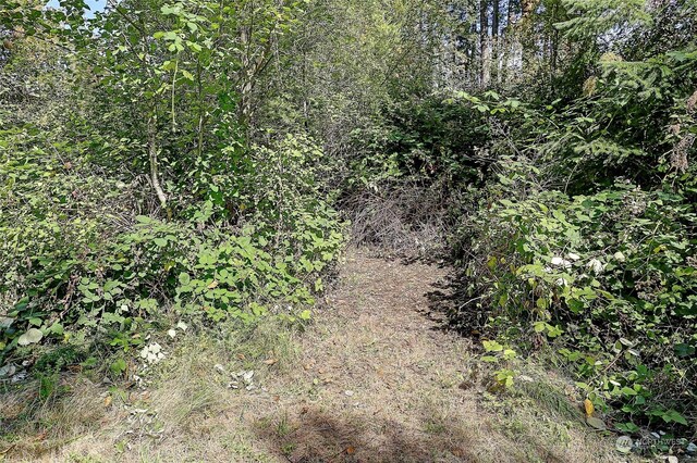 4081 Preserve Dr, Camano Island, WA 98282