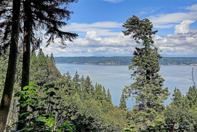 4081 Preserve Dr, Camano Island, WA 98282