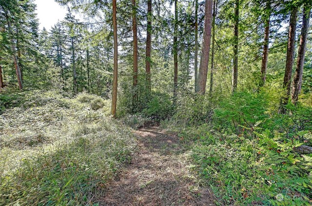 4081 Preserve Dr, Camano Island, WA 98282