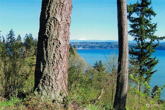4081 Preserve Dr, Camano Island, WA 98282