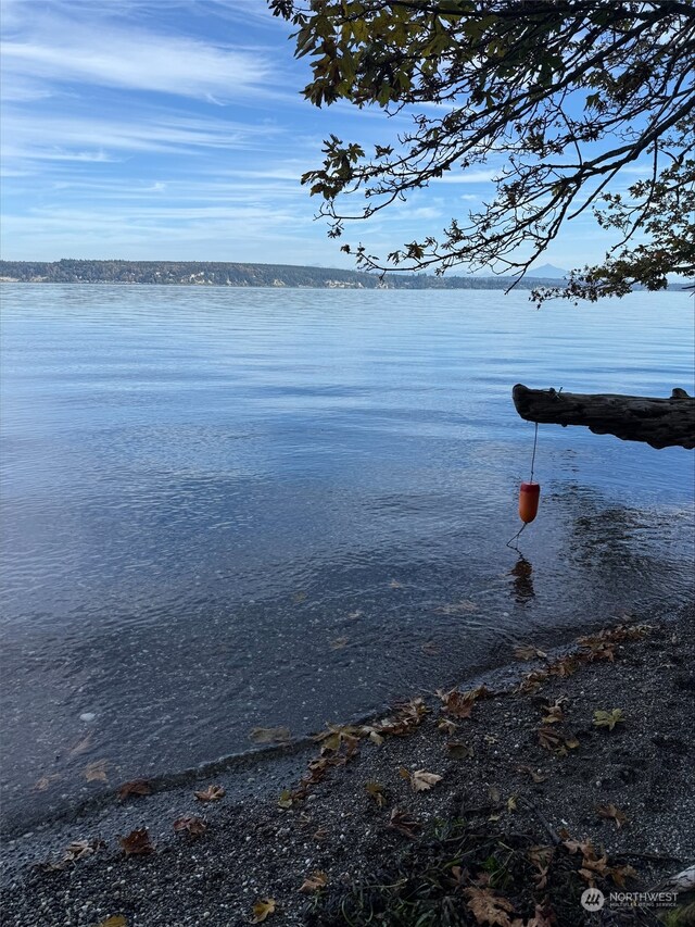 4081 Preserve Dr, Camano Island, WA 98282