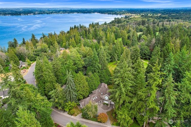 aerial view with a water view