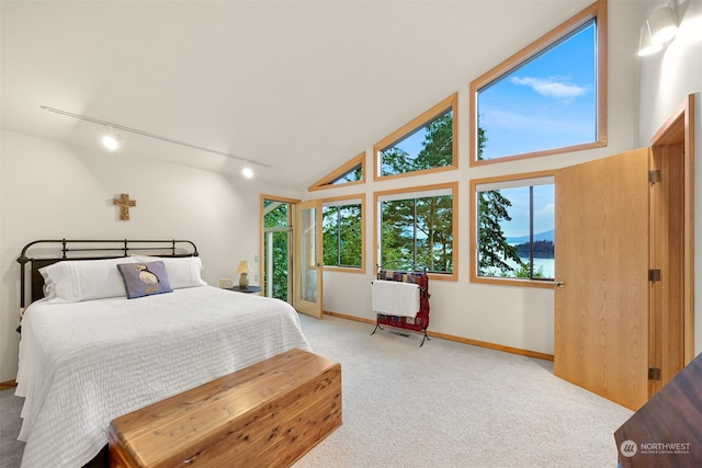 carpeted bedroom with rail lighting and high vaulted ceiling