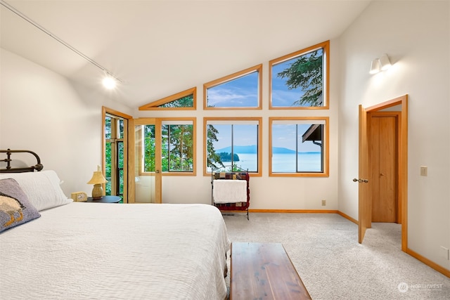 carpeted bedroom featuring high vaulted ceiling and track lighting