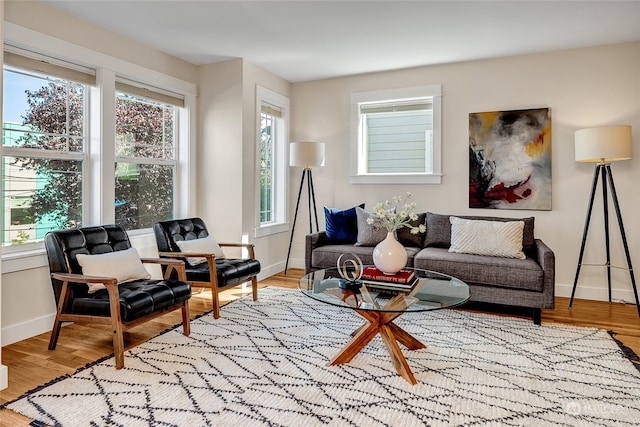 sitting room featuring light hardwood / wood-style flooring