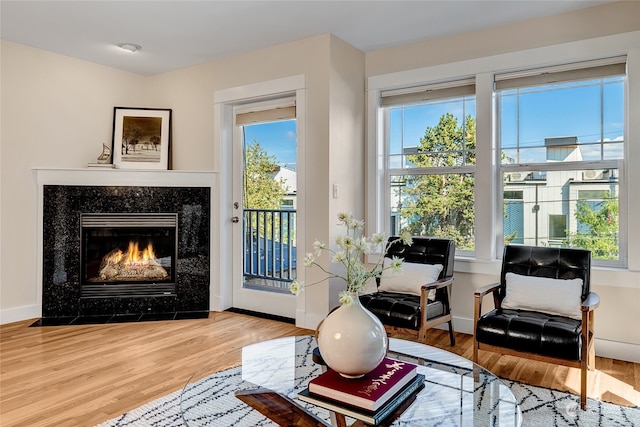 interior space featuring wood-type flooring and a fireplace