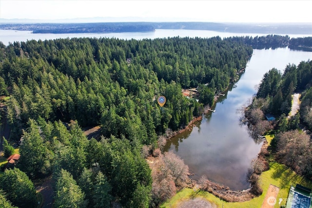 11024 Matthews Way, Anderson Island WA, 98303 land for sale