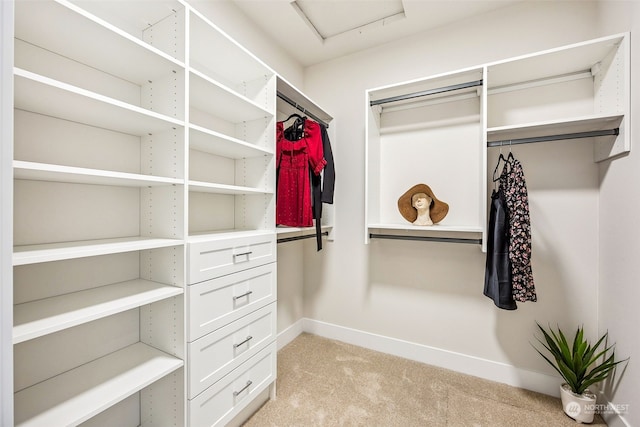 walk in closet with light colored carpet