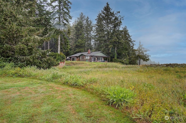 24424 Sandridge Rd, Ocean Park, WA 98640 - view of yard featuring a forest view