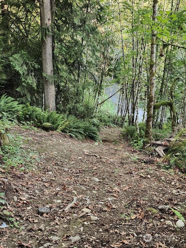 view of local wilderness featuring a water view