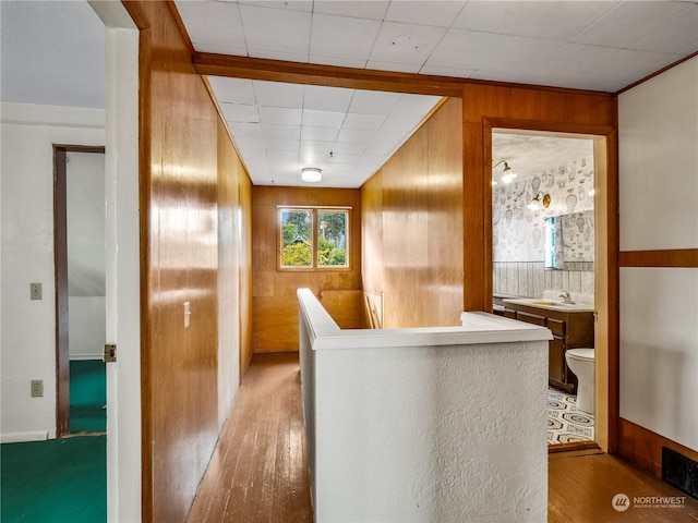 hallway with sink, wooden walls, and hardwood / wood-style floors