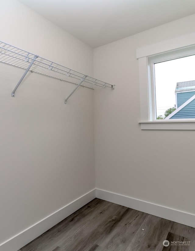 spacious closet featuring wood finished floors