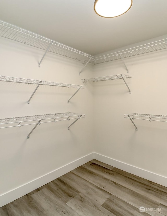 spacious closet with wood finished floors