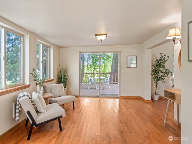 living area featuring light hardwood / wood-style floors