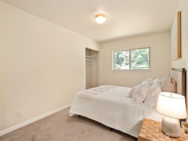 bedroom with carpet and a closet