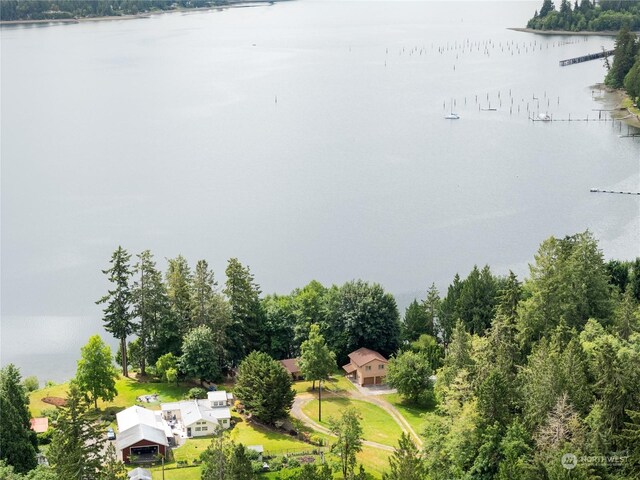 aerial view with a water view