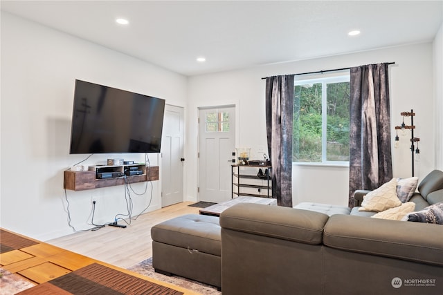 living room featuring light wood-type flooring